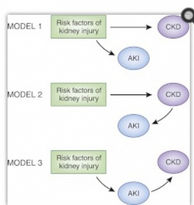 A vicious cycle of CKD progression