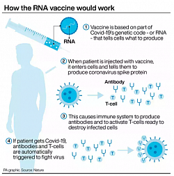 Pfizer & Moderna vac: It is an RNA vaccine composed of nucleoside-modified mRNA (modRNA) encoding a mutated form of the spike protein of SARS-CoV-2, which is encapsulated in lipid nanoparticles. The vaccination requires two doses given three weeks apart. The particle fuses with cells and with cellular protein synthesis to produce the spike protein. This spike proteins induces antibody production by T lymphocytes against the corona virus spike protein to provide the immunity.