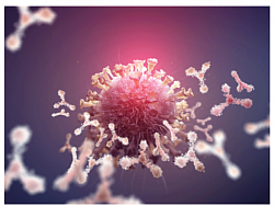 Sinovac or CoronaVac: Chinese vaccine is an inactivated vaccine candidate against COVID-19, created from African green monkey kidney cells (Vero cells) that have been inoculated with SARS-CoV-2 (CN02 strain). At the end of the incubation period, the virus was harvested, inactivated with β-propiolactone, concentrated, purified, and finally absorbed onto aluminium hydroxide. The aluminium hydroxide complex was then diluted in a sodium chloride, phosphate-buffered saline, and water solution before being sterilised and filtered ready for injection.